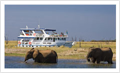 chobe safari lodge activities prices